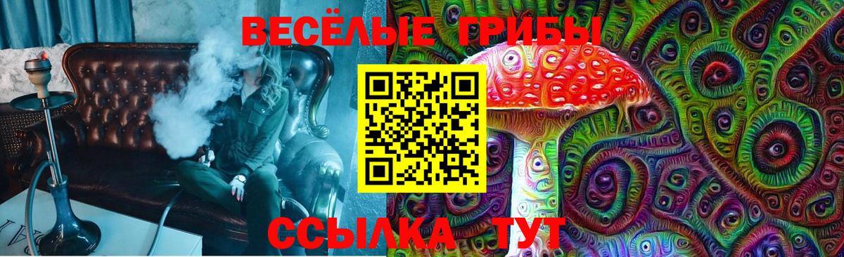 Симферополь  Галлюциногенные грибы Psilocybine cubensis  Вход с VPN 