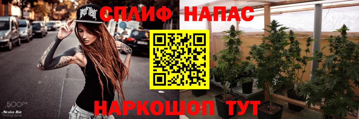 Симферополь  Бошки марихуана планчик  Конопля марихуана  Вход с VPN 